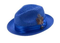 Montique Men's Fashion Straw Fedora Hat - Bold Feather -Stylish Men's Formal Wear h34 royal 041