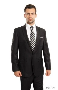 Tazio Men's 2 Piece Slim Fit Suit - Solid Classic Colors