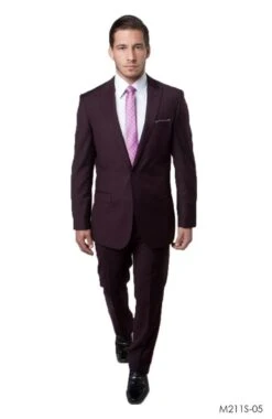 Tazio Men's 2 Piece Slim Fit Suit - Solid Classic Colors -Stylish Men's Formal Wear m211s 05 95593.1550180696