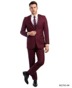 Tazio Men's 2 Piece Slim Fit Suit - Classic Solid Colors -Stylish Men's Formal Wear m276s 04