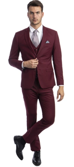 Sean Alexander Men's 3 Piece Skinny Fit Suit - Notch Lapel -Stylish Men's Formal Wear m282sk 06 burgundy 1