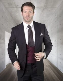 Statement Men's 100% Wool 3 Piece Suit - Deep U Vest